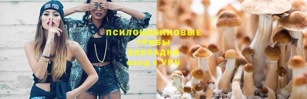 а пвп мука Абинск