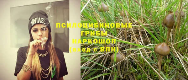 ГАЛЛЮЦИНОГЕННЫЕ ГРИБЫ Абдулино